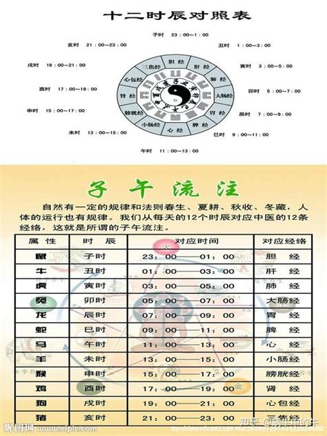 辰卯|天支地支 十二时辰对照表